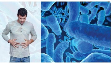 Probiotics Provide Anti Aging Defense